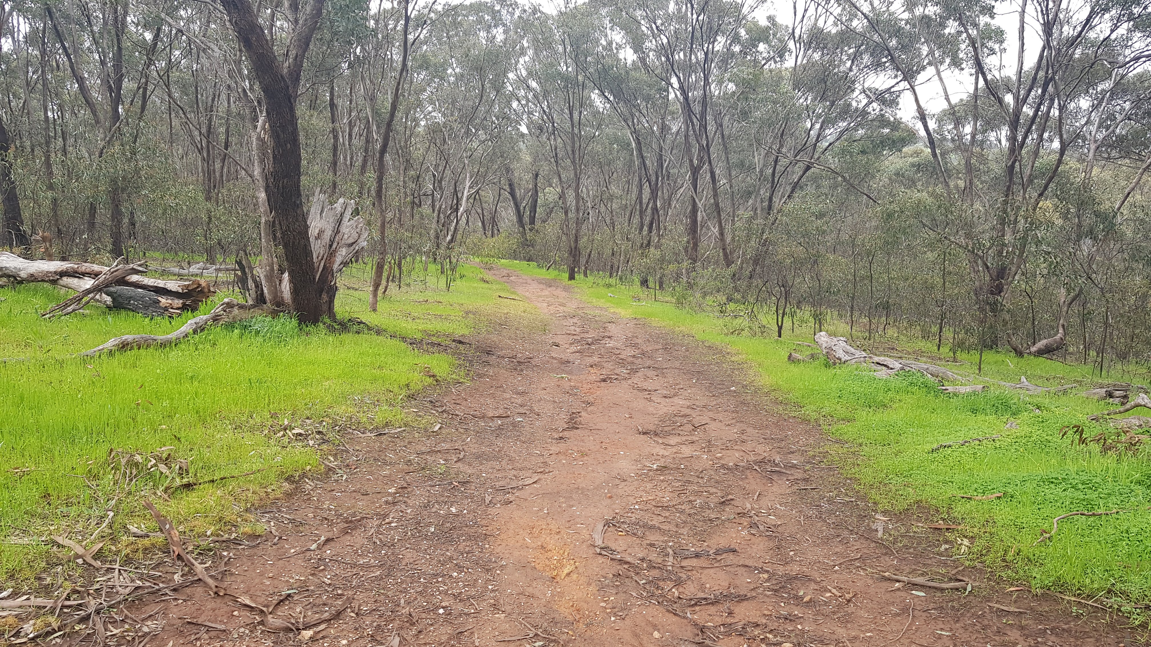 Sturt Gorge Recreation Park - Marri Track