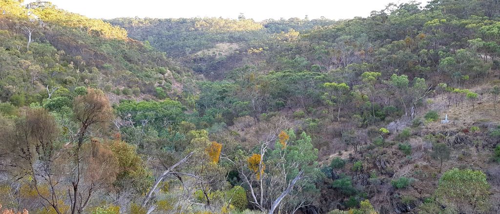 Sturt Gorge Recreation Park Landscape