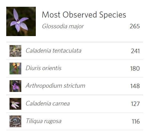 Most Species Observed (October 2022)