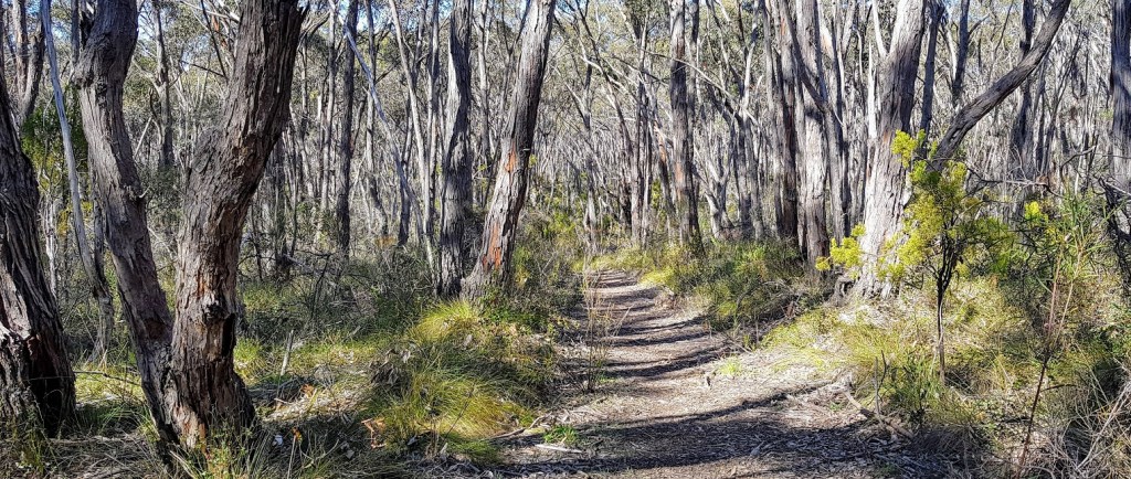 Mylor CP Banner, Geoffrey Cox (CC-BY)