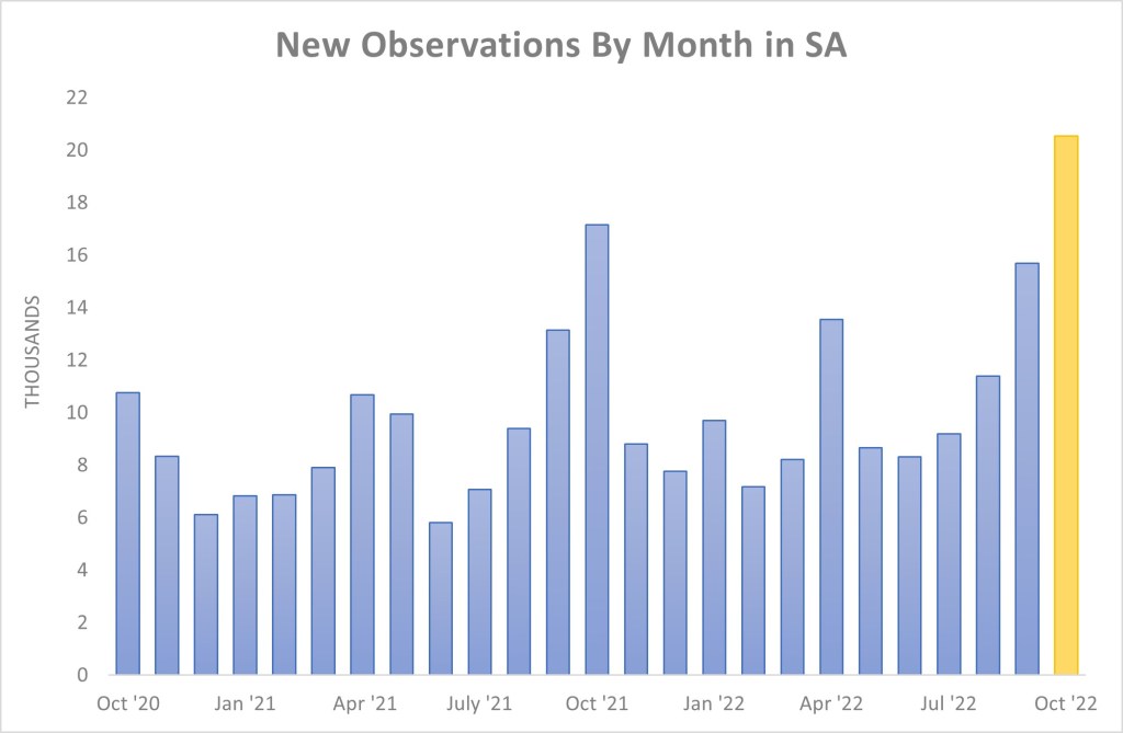 New Observations By Month in SA (October 2022)