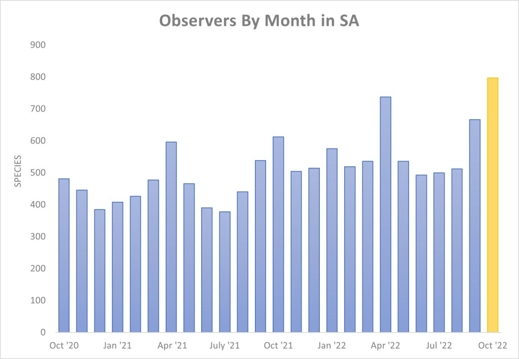 Observers By Month in SA (October 2022)