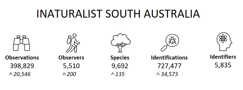 SA Summary (October 2022)