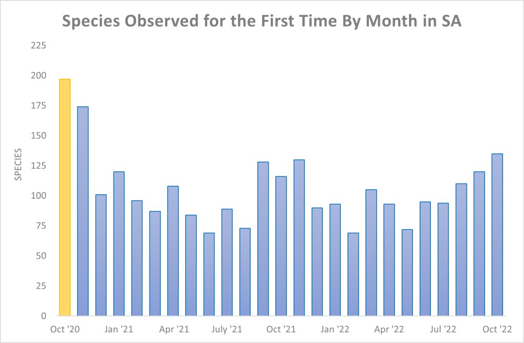 Species Observed for the First Time By Month in SA (October 2022)