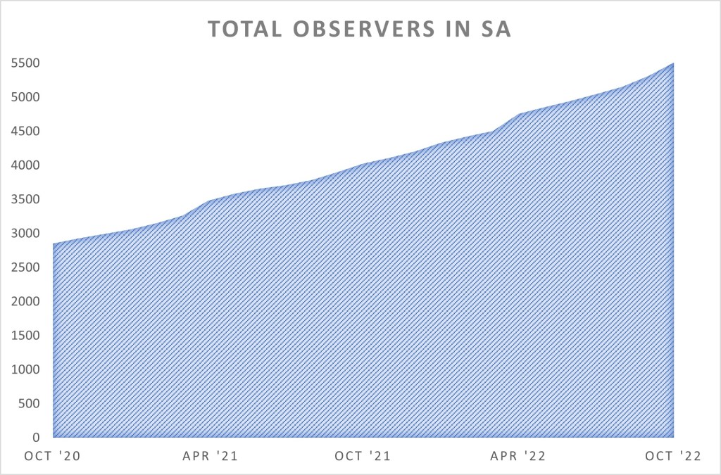 Total Observers in SA (October 2022)