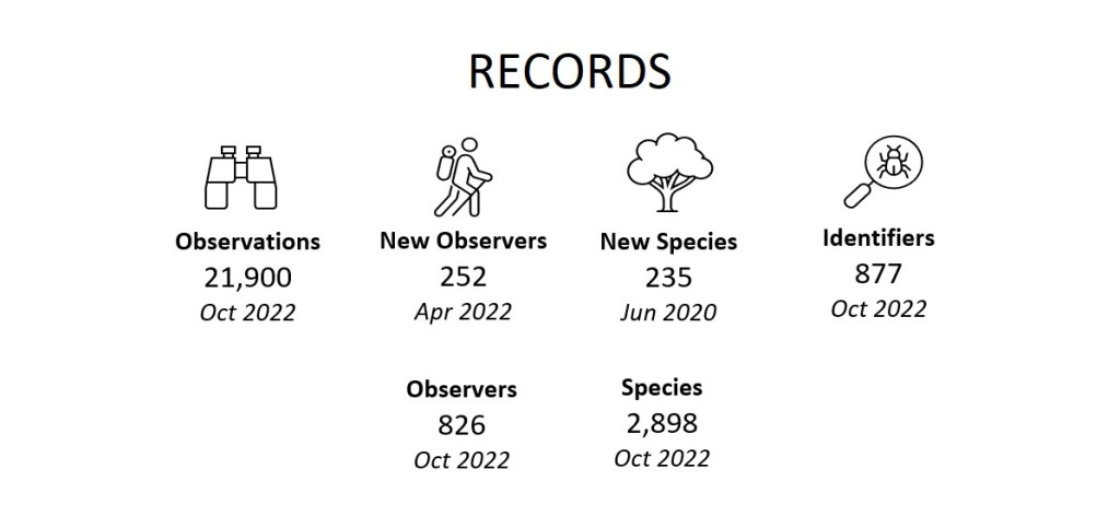 Records (November 2022)
