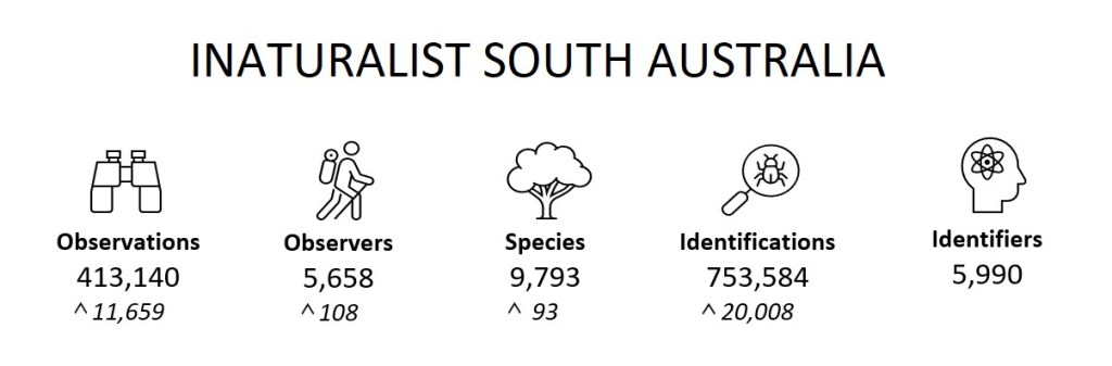 State Summary (November 2022)