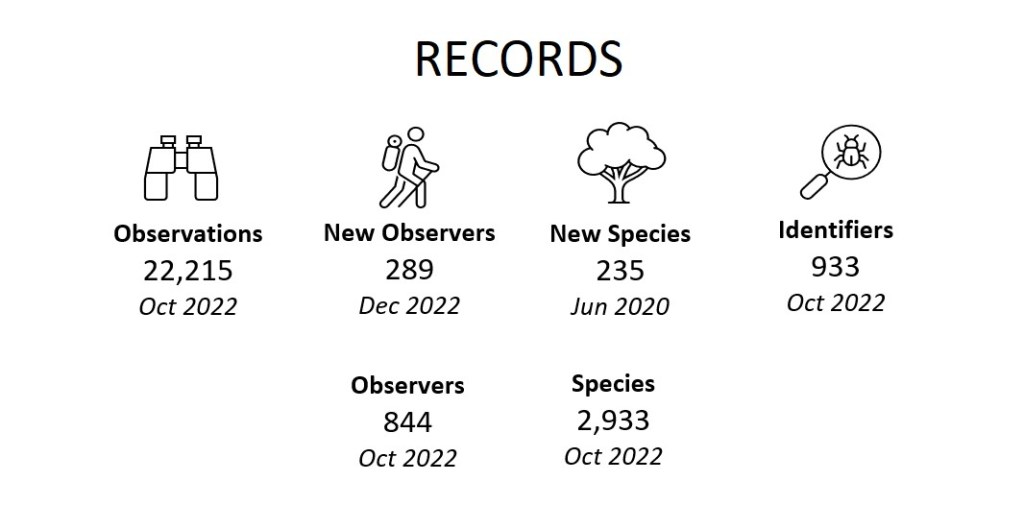 Records (December 2022)