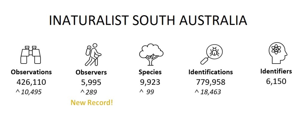 State Summary (December 2022)