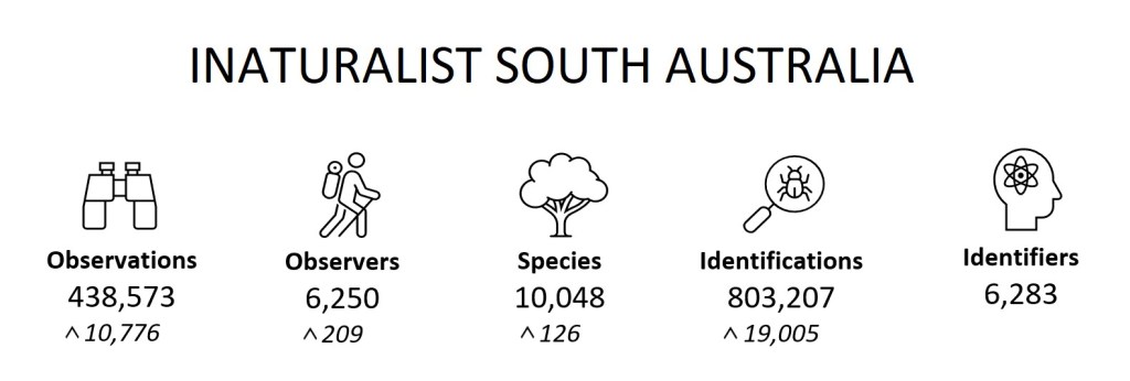 State Summary (January 2023)