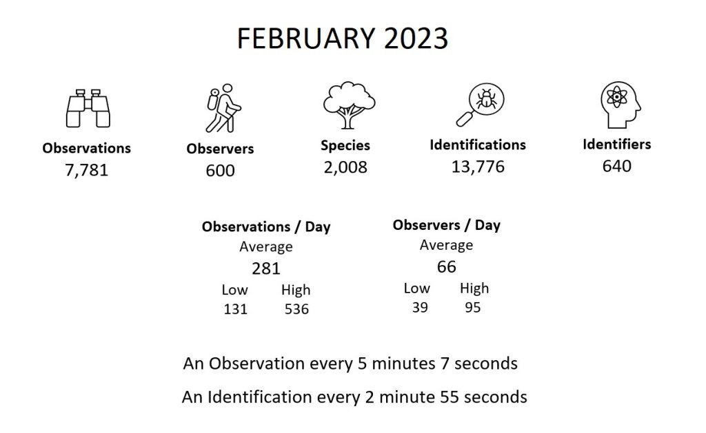 Month Summary (February 2023)