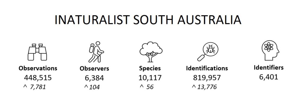 State Summary (February 2023)