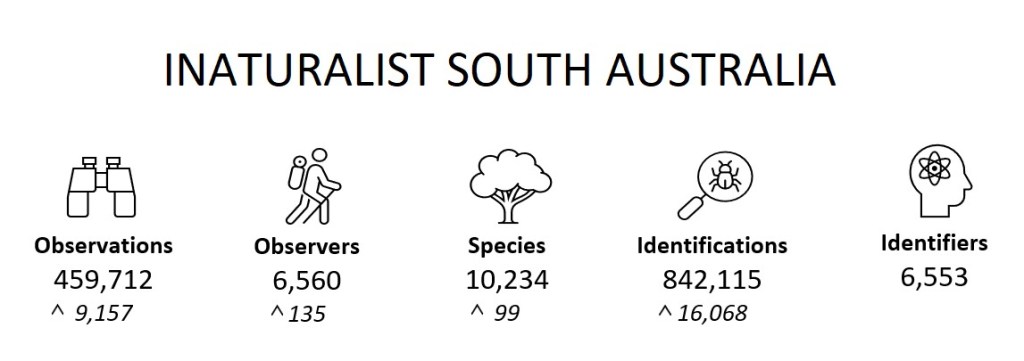 State Summary (March 2023)