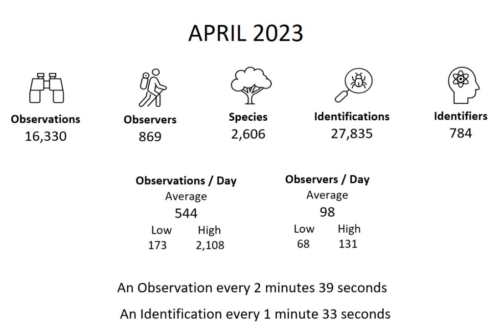 Month Summary (April 2023)