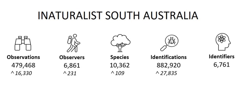 State Summary (April 2023)