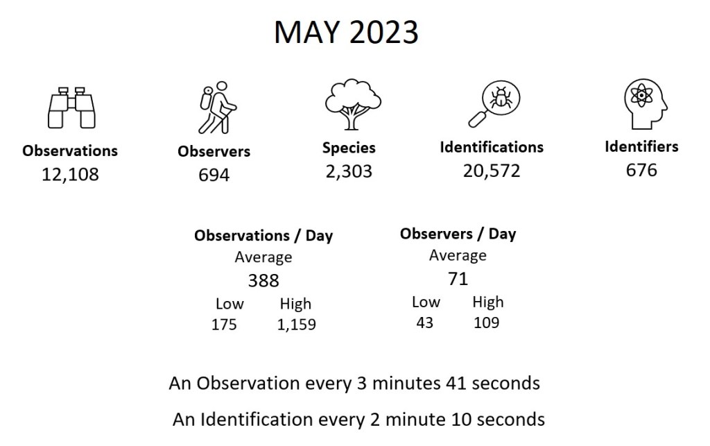 Month Summary (May 2023)