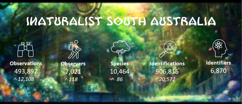 State Summary (May 2023) v2.0