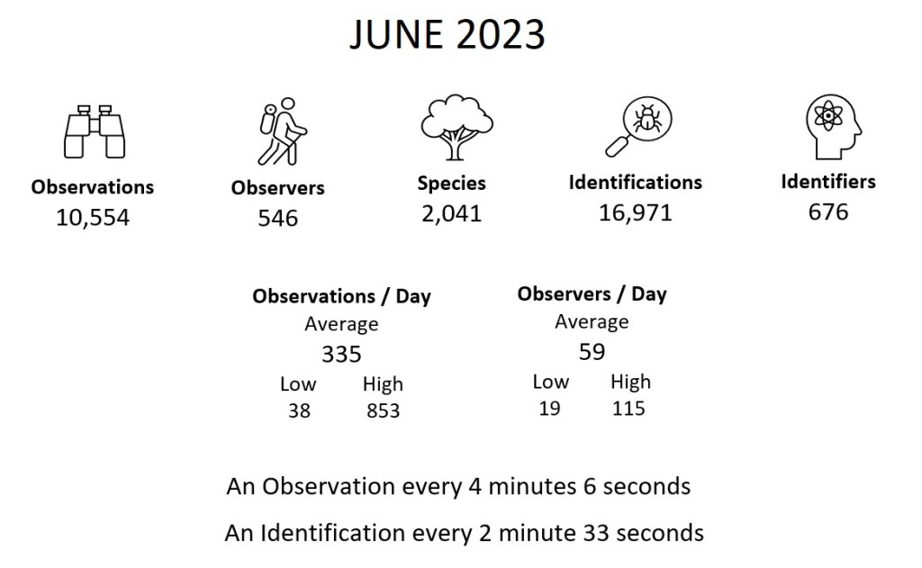 Month Summary (June 2023)
