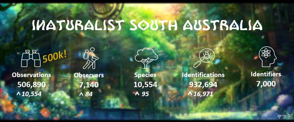 State Summary (June 2023) v2.0