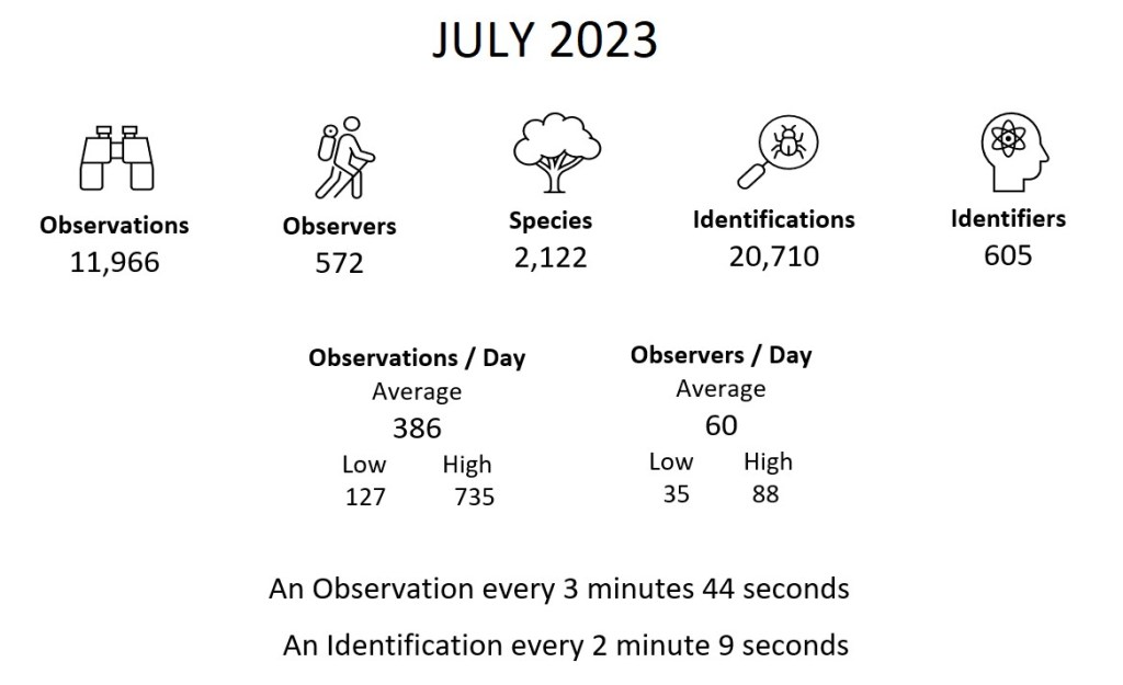 Month Summary (July 2023)