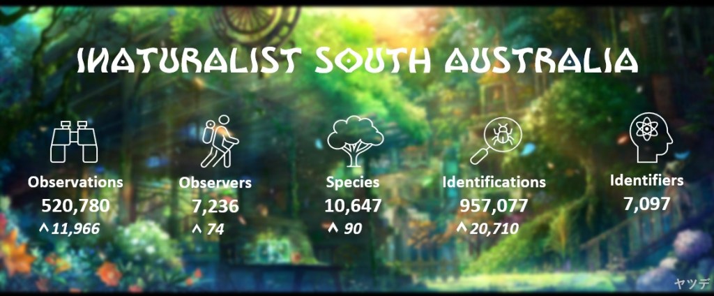 State Summary (July 2023)