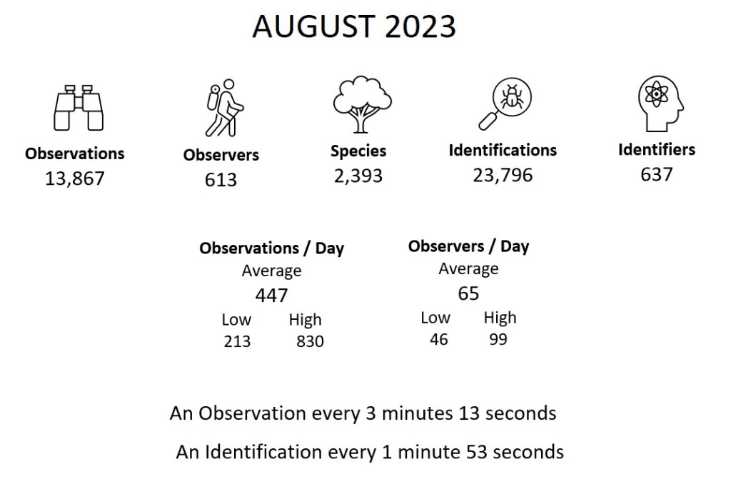 Month Summary (August 2023)