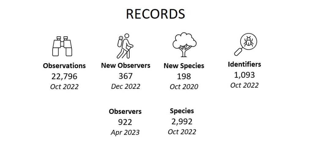 Records (August 2023)