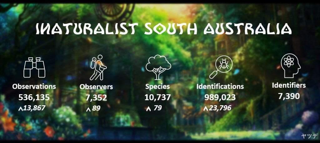 State Summary (August 2023)