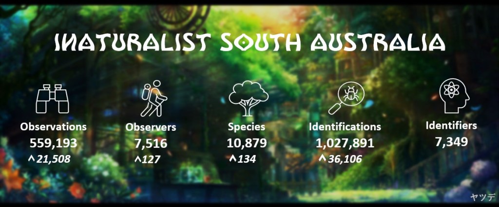 State Summary (September 2023)