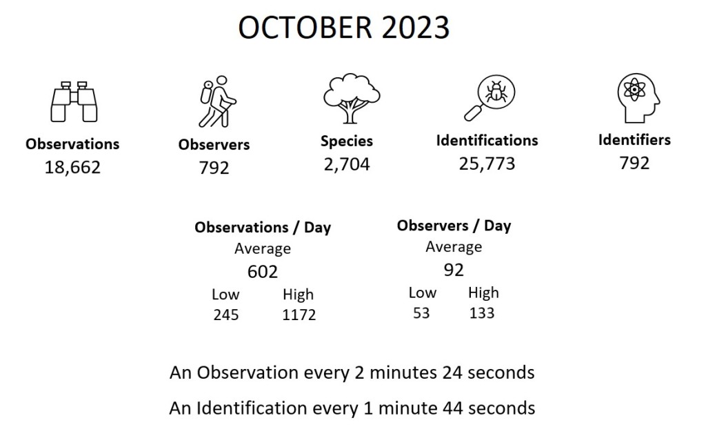 Month Summary (October 2023)