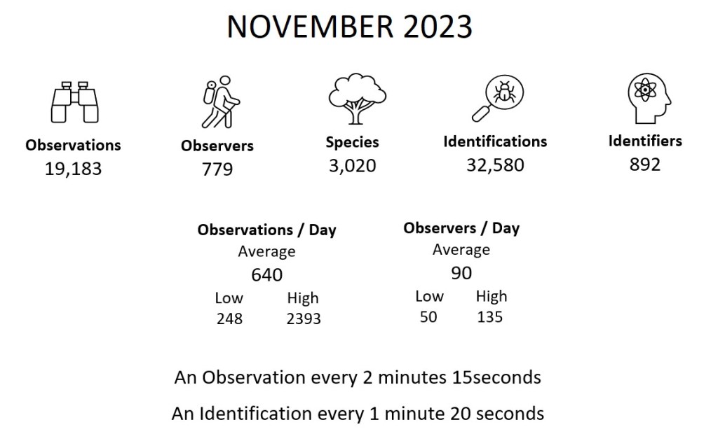 Month Summary (November 2023)