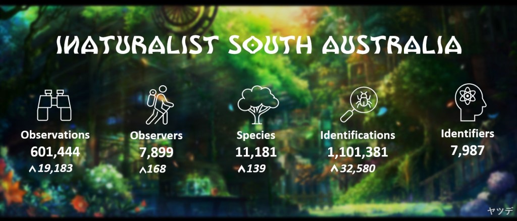 State Summary (November 2023)