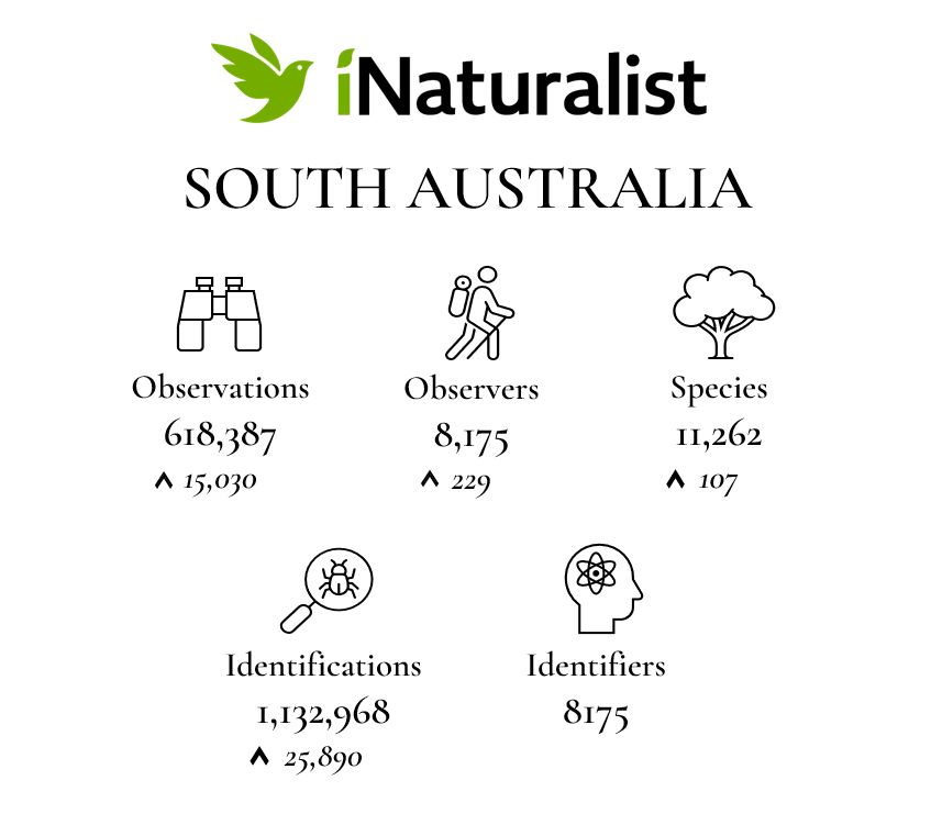 State Summary White Background December 2023