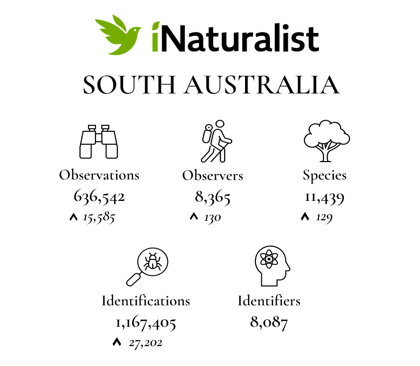 State Summary White Background January 2024