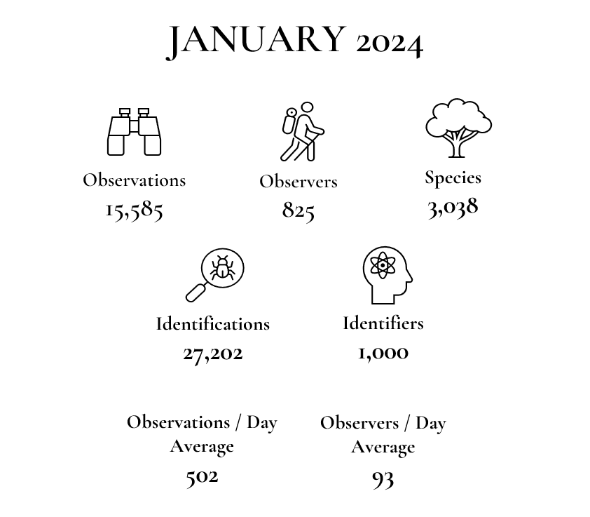 State Summary White Background Only January 2024